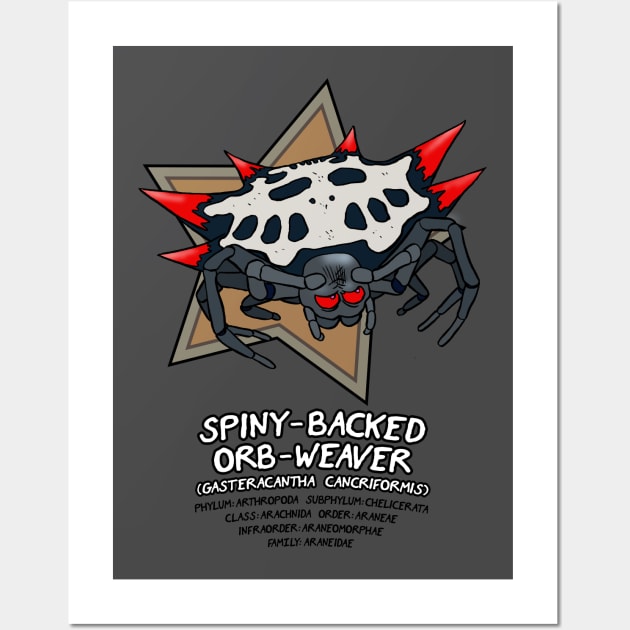 Spiny-Backed Orb-Weaver Wall Art by Cyborg One